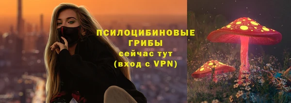 спайс Арсеньев