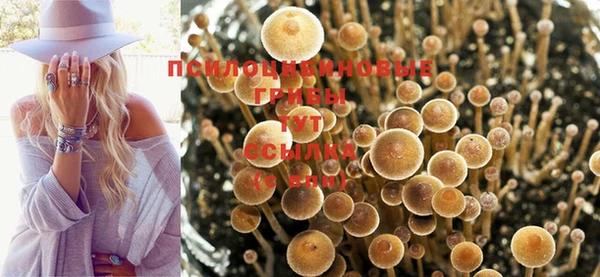 прущие крисы Армянск
