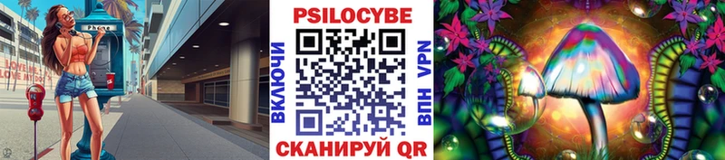 что такое   Нижний Ломов  Псилоцибиновые грибы Magic Shrooms 