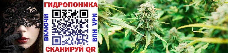 Конопля SATIVA & INDICA ссылка на мегу маркетплейс Нижний Ломов